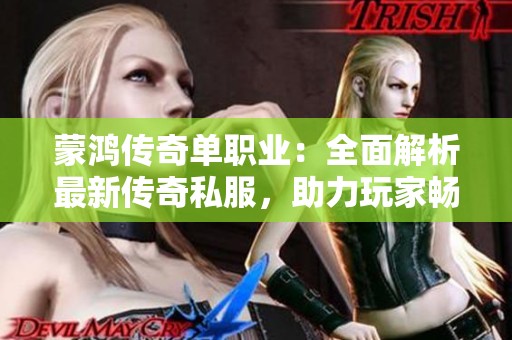 蒙鸿传奇单职业：全面解析最新传奇私服，助力玩家畅享游戏之旅