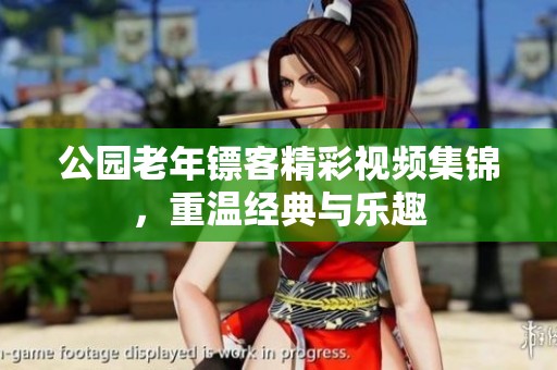 公园老年镖客精彩视频集锦，重温经典与乐趣