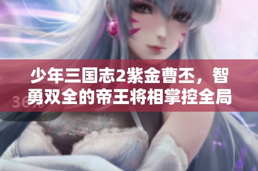 少年三国志2紫金曹丕，智勇双全的帝王将相掌控全局