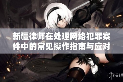 新疆律师在处理网络犯罪案件中的常见操作指南与应对策略