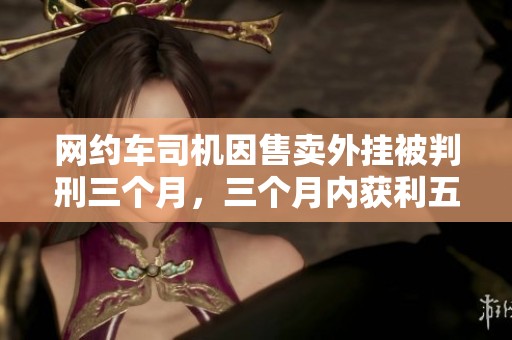 网约车司机因售卖外挂被判刑三个月，三个月内获利五十九万