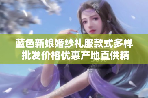 蓝色新娘婚纱礼服款式多样 批发价格优惠产地直供精选
