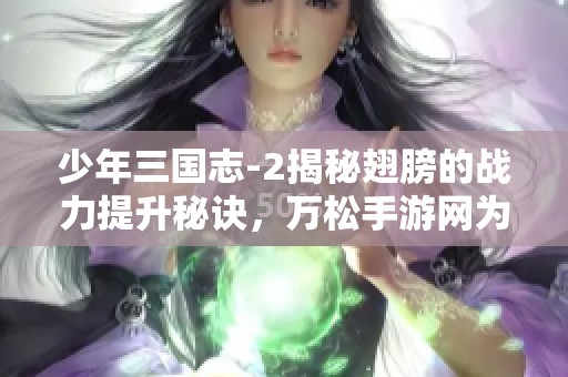 少年三国志-2揭秘翅膀的战力提升秘诀，万松手游网为你解答