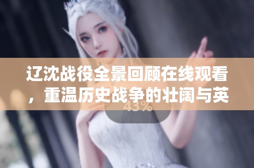 辽沈战役全景回顾在线观看，重温历史战争的壮阔与英雄情怀
