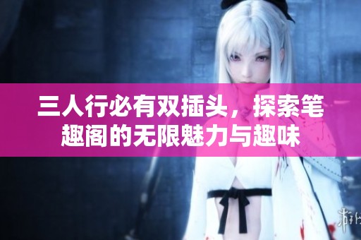 三人行必有双插头，探索笔趣阁的无限魅力与趣味