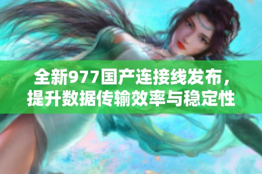全新977国产连接线发布，提升数据传输效率与稳定性