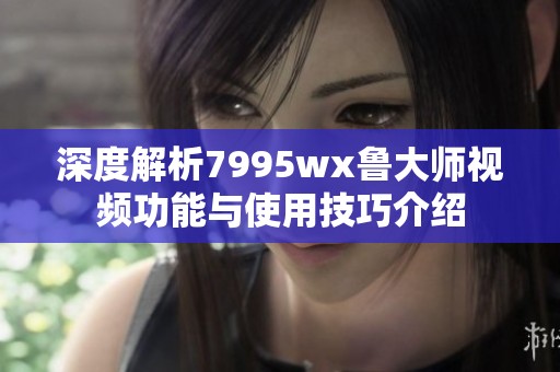 深度解析7995wx鲁大师视频功能与使用技巧介绍