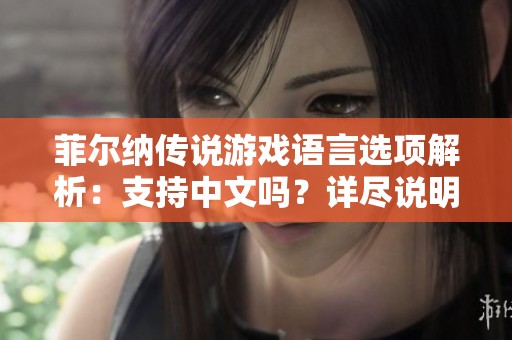 菲尔纳传说游戏语言选项解析：支持中文吗？详尽说明
